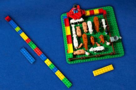 Legosteine und -tiere sortiert auf einer Platte